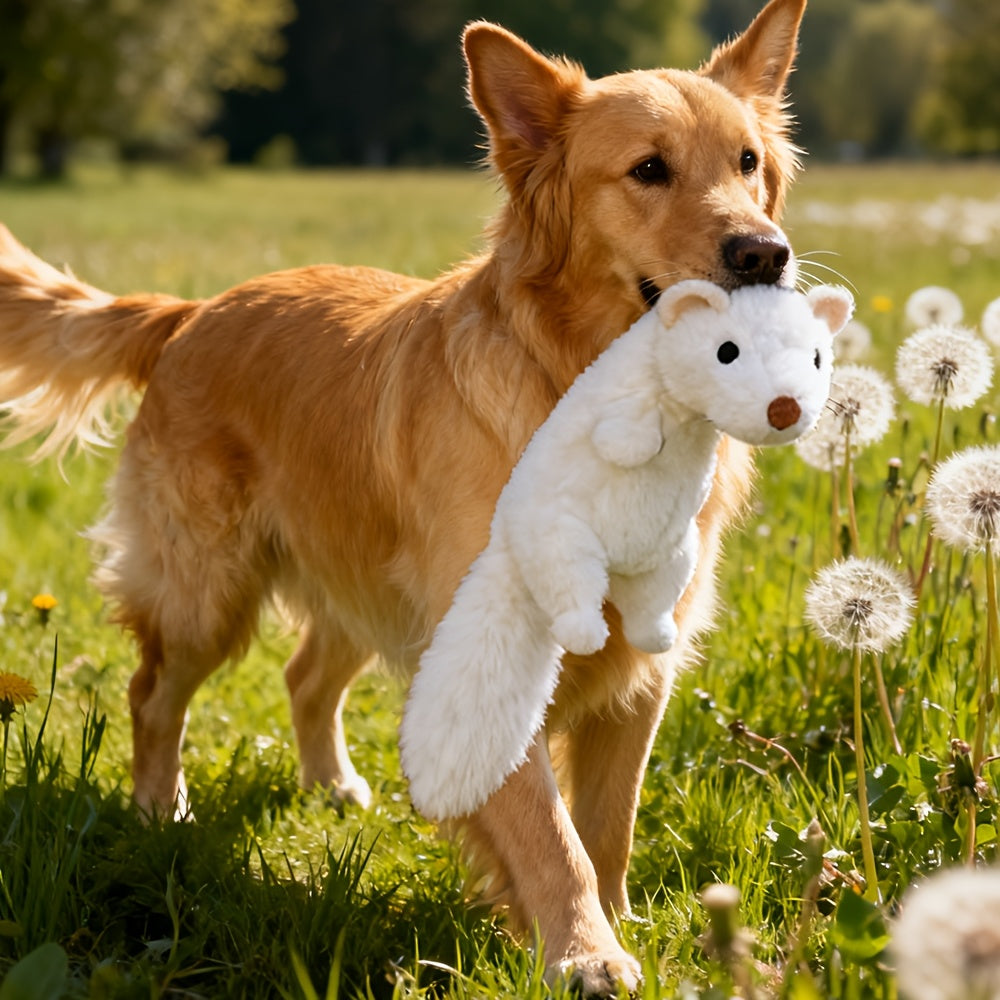 durable squeaky dog chew toy made   non toxic
