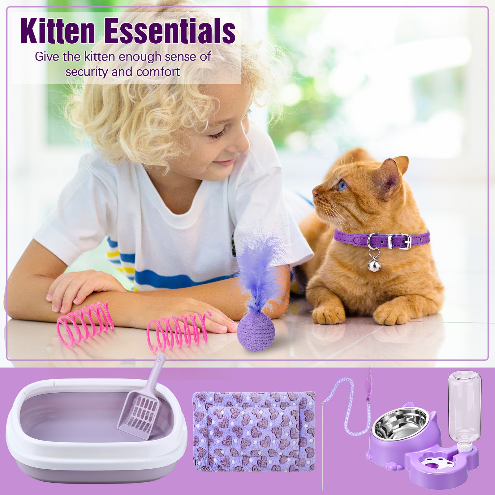 1 set kitten starter kit 10pcs cat starter kit indoor cats