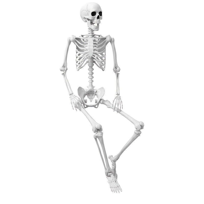 realistic outdoor wall mounted skeleton statue