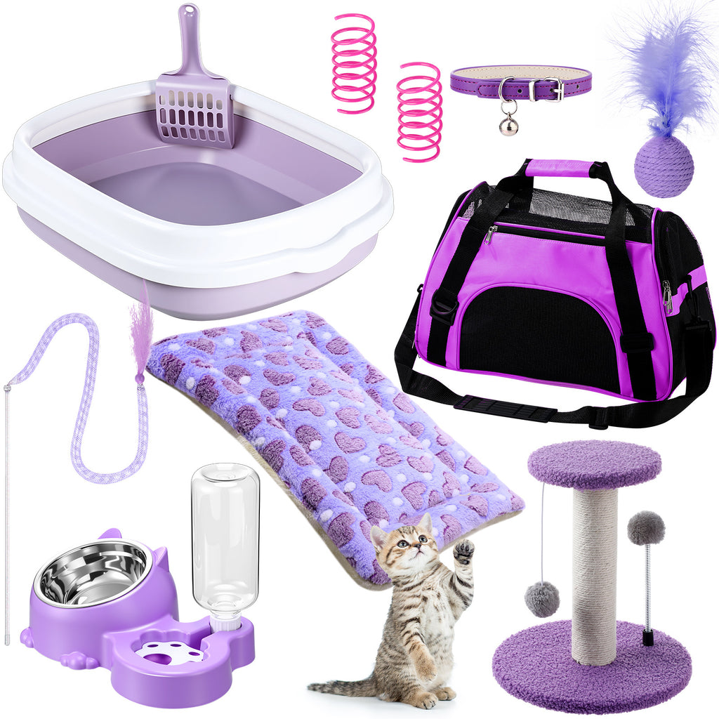 1 set kitten starter kit 10pcs cat starter kit indoor cats