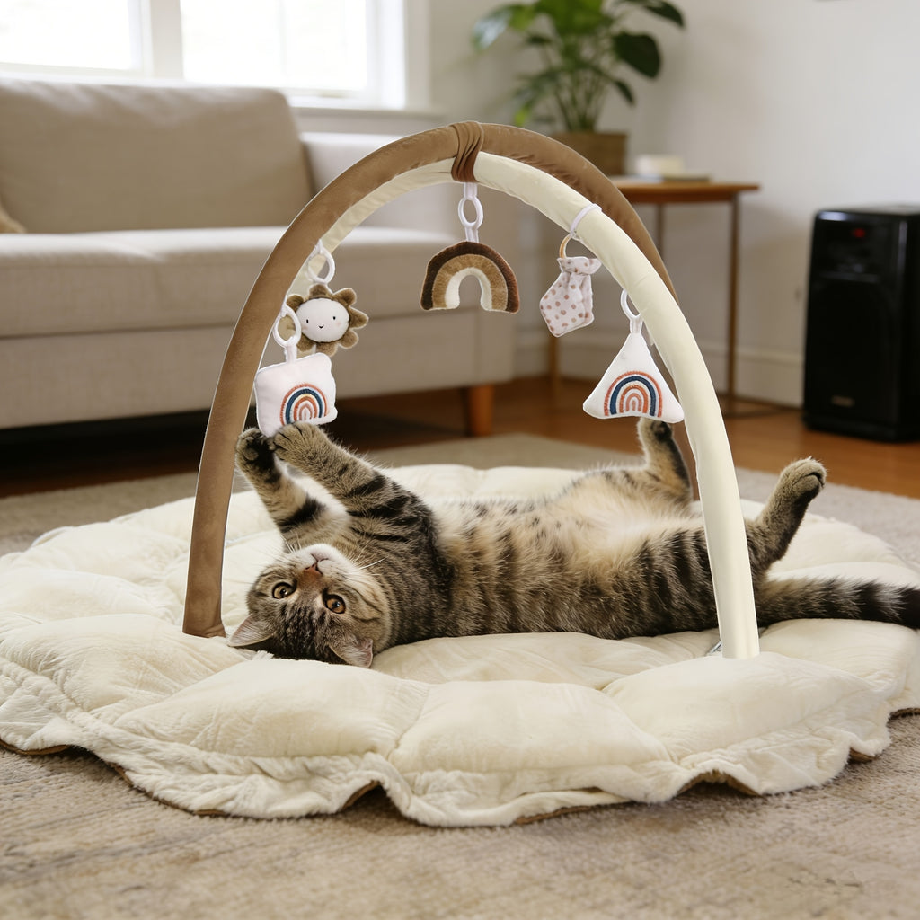 cat bed dog bed 5 in 1 multifunctional   nest