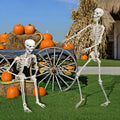 6ft poseable     skeleton halloween   full