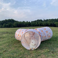 3 way rabbit   collapsible play tube bunnies small pet