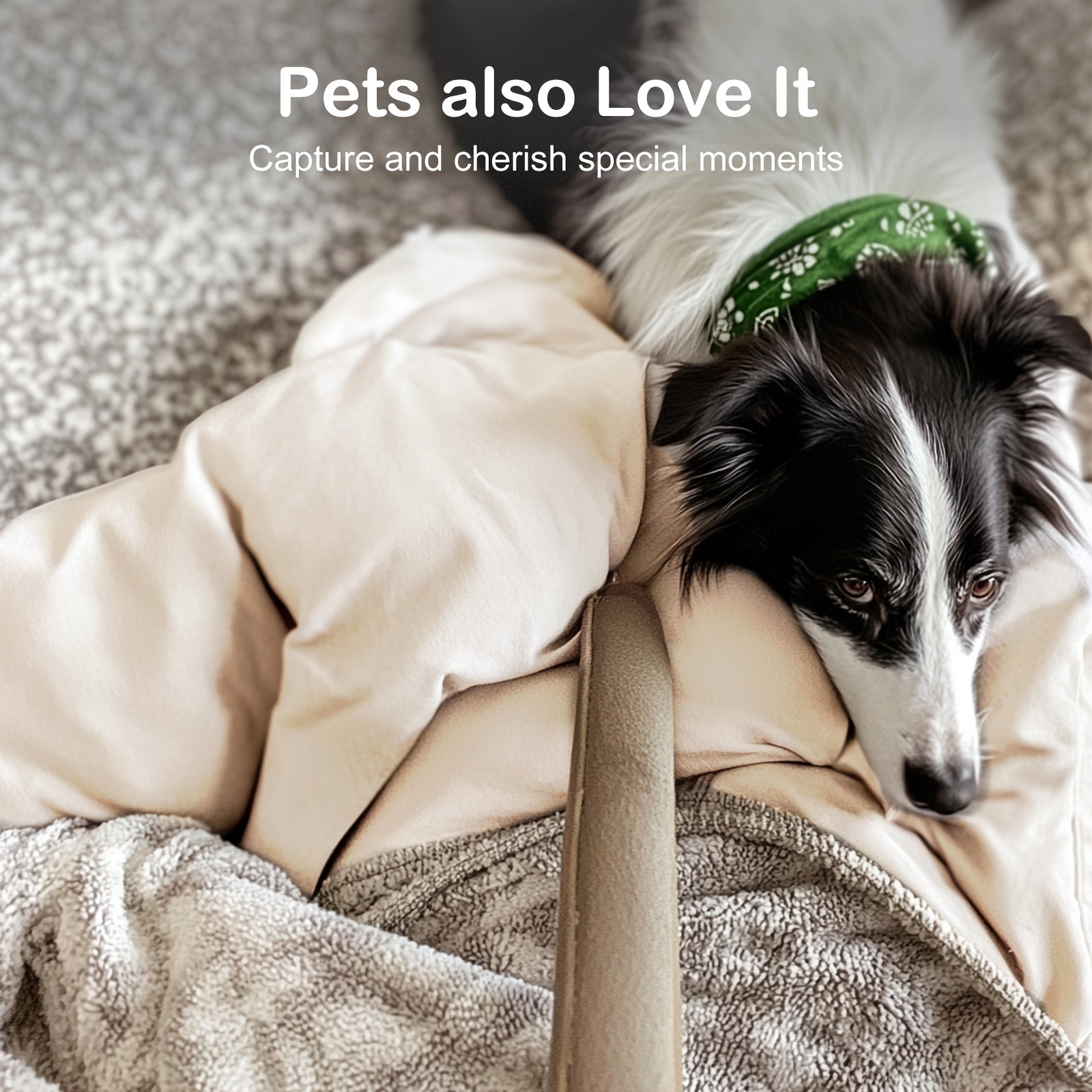 cat bed dog bed 5 in 1 multifunctional   nest