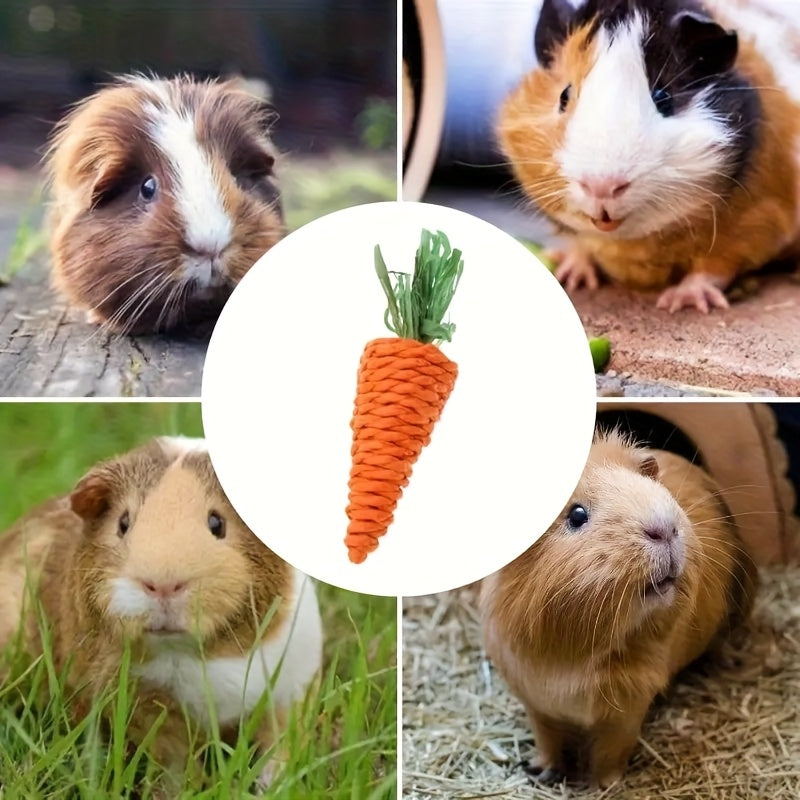 5pcs carrot chew toys durable small animal chew toys dental