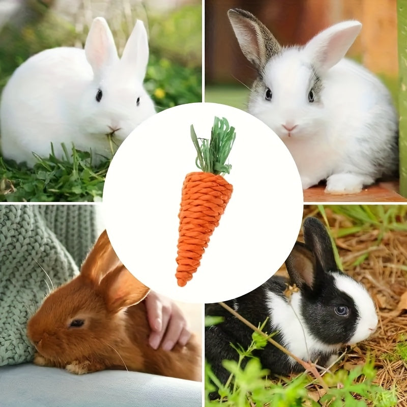 5pcs carrot chew toys durable small animal chew toys dental