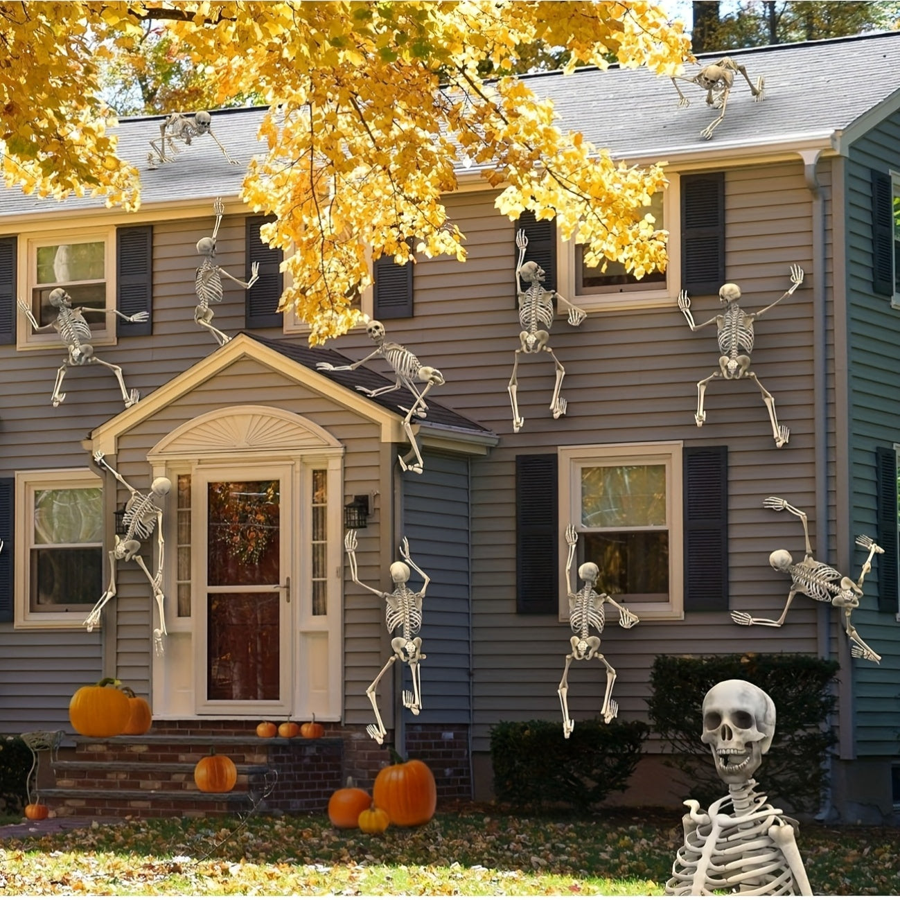 5 4ft posable   human   skeletons plastic human