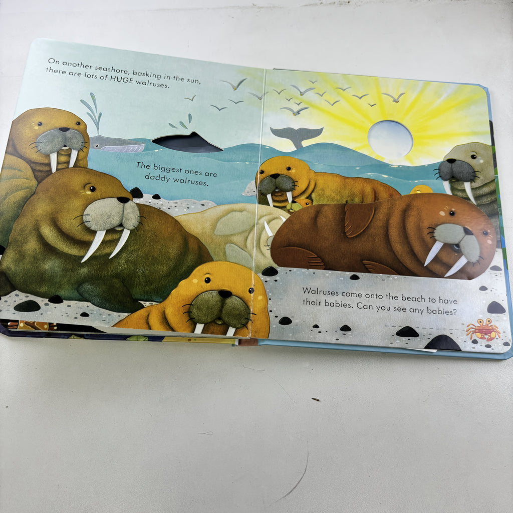 coastal     material foldable inner pages