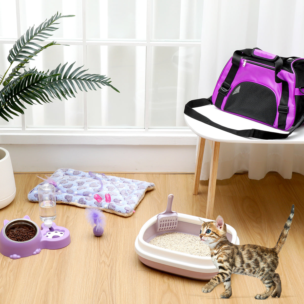 1 set kitten starter kit 10pcs cat starter kit indoor cats